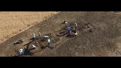 Parties prenantes, Dufresne Corrigan Scarlett pour Alliance des coopératives agricoles - agriculture, "Produisons l'avenir" - janvier 2014
