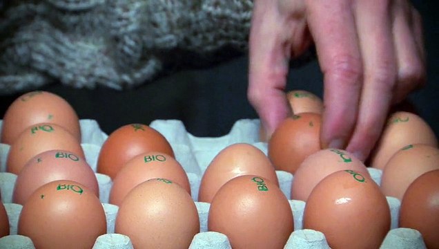 Parti Socialiste (PS) - parti politique - février 2010 - Elections régionales , Agriculture