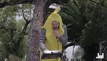 Flula Borg | A Song About Bananas | NMR Exclusive