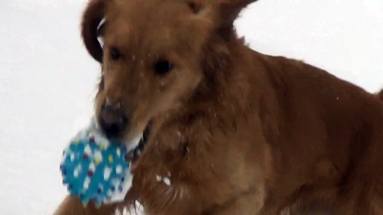 Quand ça couine, mais que tu sais pas d’où ça vient.