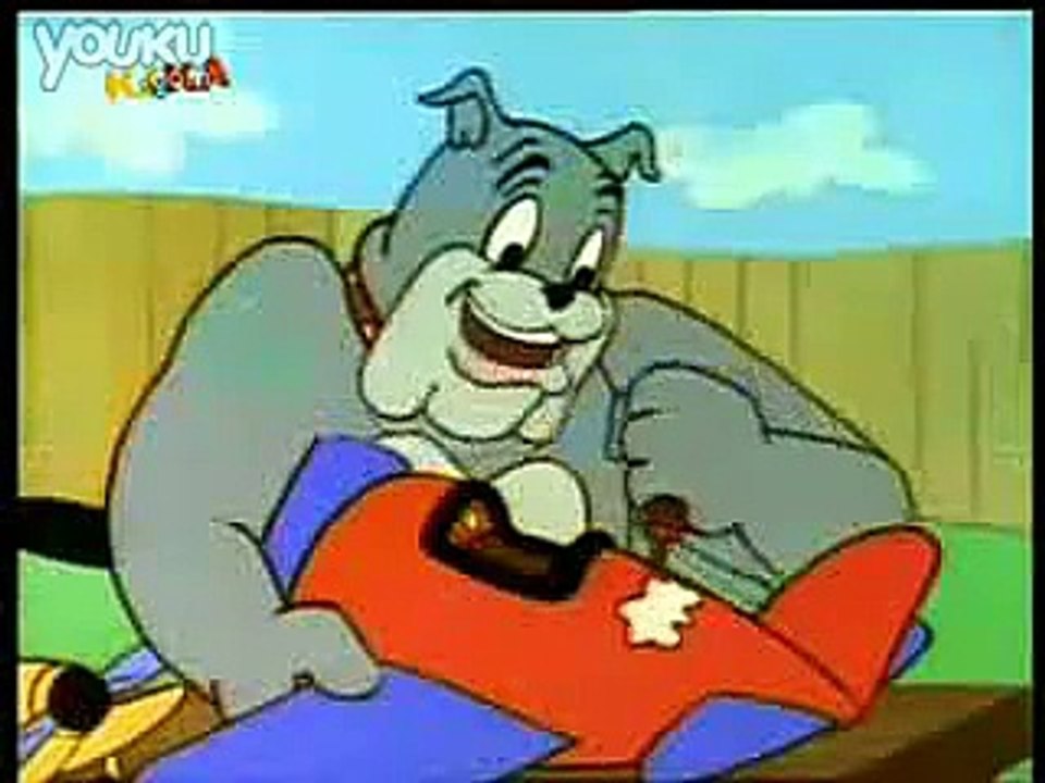 The Mouse Pilot