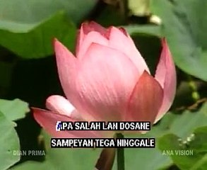 JANJI PALSU diana sastra @ lagu tarling