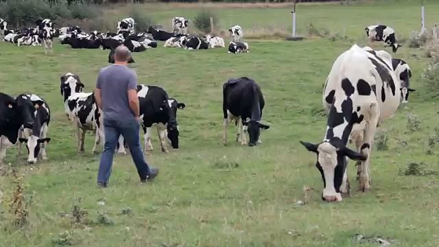 Les 2 Vaches - yaourts, Savoir ce qu'on mange, savoircequonmange.com - février 2014