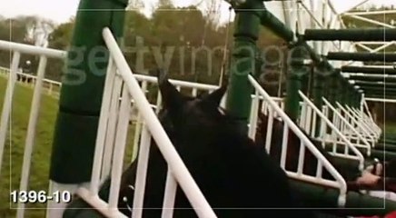 Optic 2000 - lunettes, "Deviens une légende, www.facebook.com/deviensunelegende" - septembre 2012