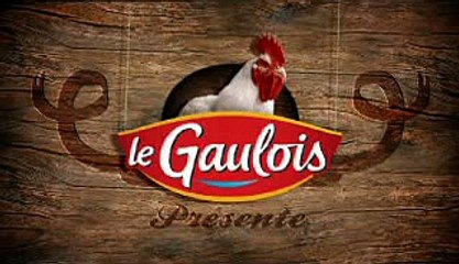 Le Gaulois - morceaux de poulet Grignottes façon tapas - juin 2010 - "Flamenco"