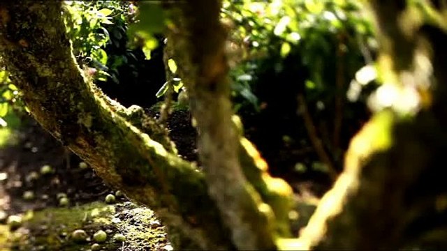 Relais & Châteaux - hôtels et restaurants - mars 2010 - Partout dans le monde, unique au monde