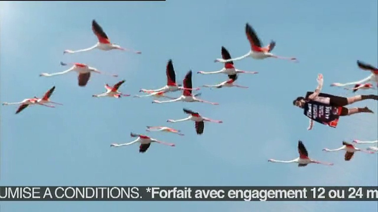 NRJ Mobile - forfait téléphonique "Ultimate" - mars 2010 - "Flamands roses", avec mentions