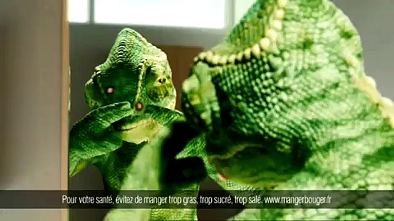 Orangina Schweppes - soda Orangina - avril 2010 - "Parodies", "Caméléon et acné"