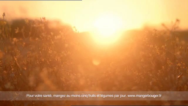 Maille - condiments, Il n'y a que Maille qui m'aille - mars 2011 - Moutarde Fine de Dijon