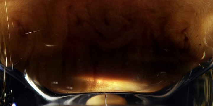 L'Or Espresso (Sara Lee coffee and tea France) - café en capsules - février 2011 - Découvrez un espresso unique