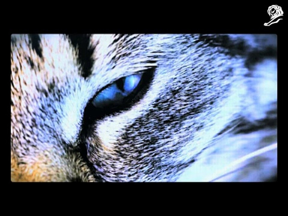 Mont Blanc - montres Nicolas Rieussec Chronograph, "The beauty of a second" - juin 2012