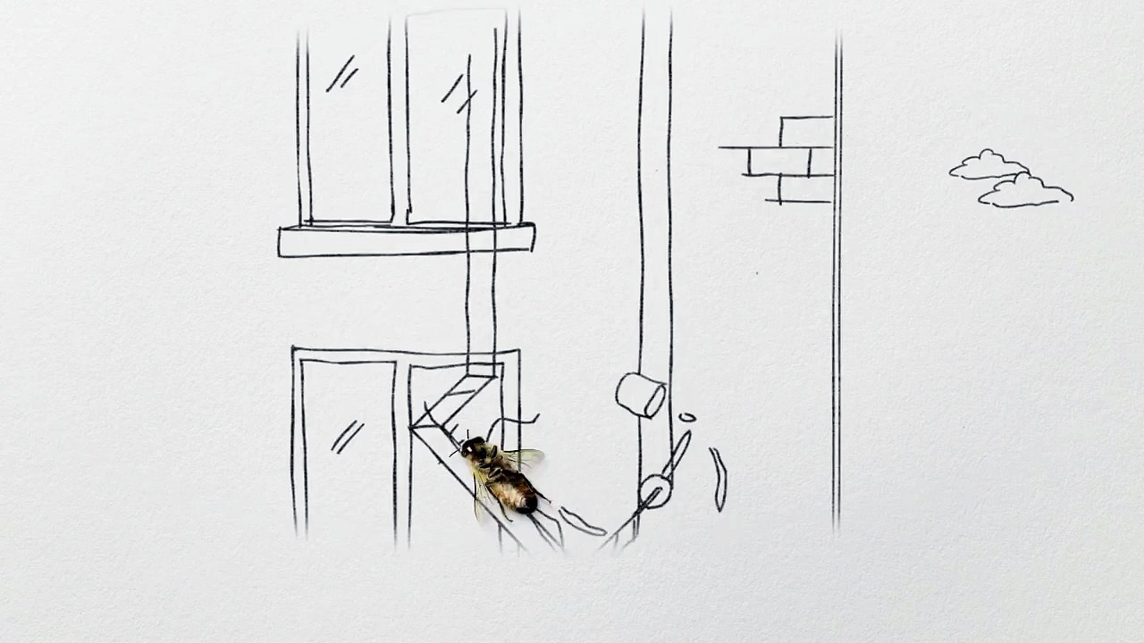 Mayor of London (Municipalité de Londres) - protection des abeilles londoniennes, "Capital bees" - juin 2011 - "City limits"