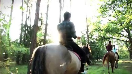 Mini (BMW), Vice - voiture - août 2011 - "All the wrong places"