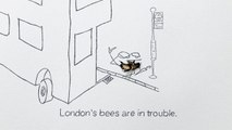 Mayor of London (Municipalité de Londres) - protection des abeilles londoniennes, 