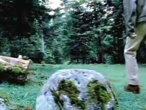 Optic 2000 - lunettes, Johnny Hallyday et le loup - 2006