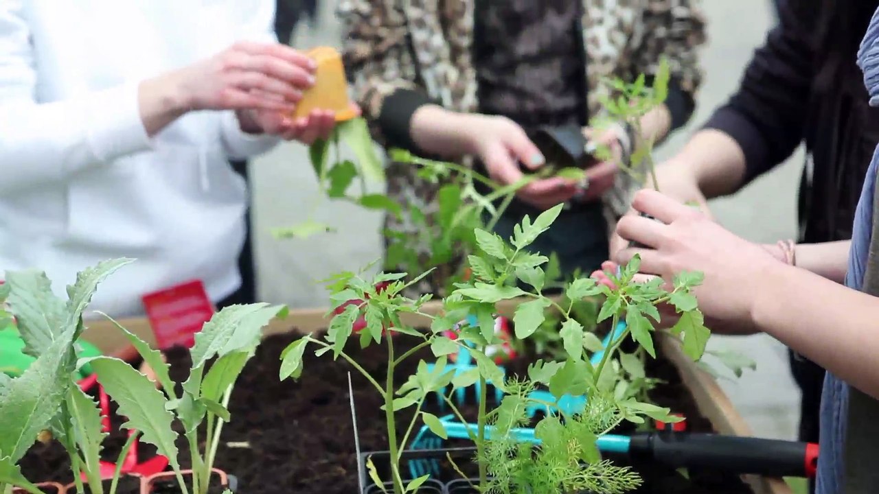 Leroy Merlin - décoration et bricolage, "Centre Pompidou" - avril 2013