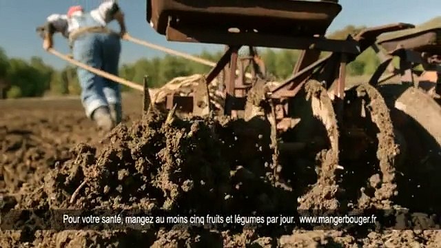 McDonald's - restauration rapide, McFarmer vs McTimber - janvier 2012