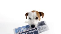 Le Parisien, Aujourd'hui en France - magazine Le Parisien, «L'information qui n'oublie pas que c'est le week-end» - novembre 2014