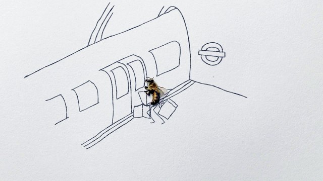Mayor of London (Municipalité de Londres) - protection des abeilles londoniennes, Capital bees - juin 2011 - Tube trauma