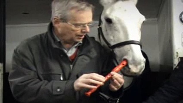 Les Gaulois pour SFR - opérateur téléphonie, Internet, télévision, RED et Box de SFR.fr, «Dingue ?» - juin 2014 - le cheval flûtiste