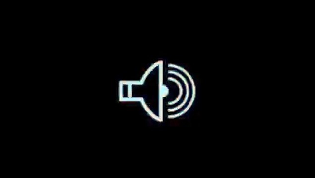 Les Gaulois pour Citroën - voitures, Vivaldi, Citroën Select - novembre 2013