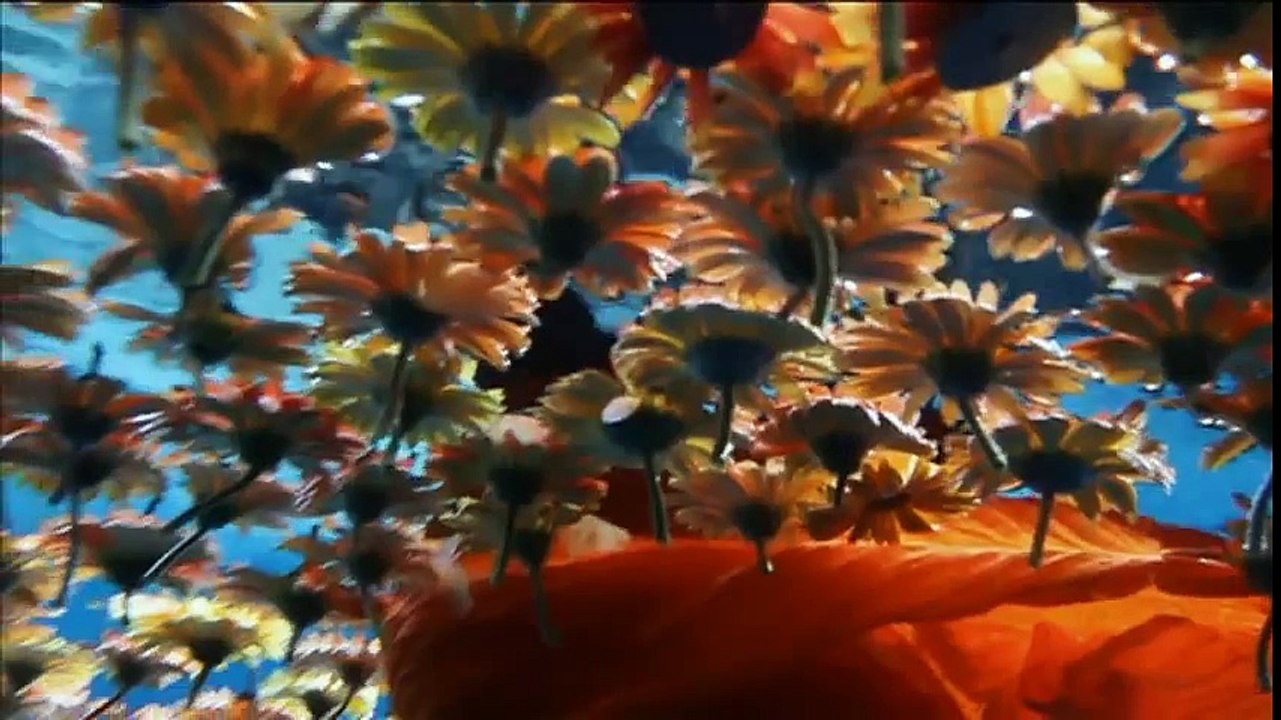 L'Oréal - soins pour hommes, "L'Oréal Men Expert, avec Hugh Laurie" - août 2011