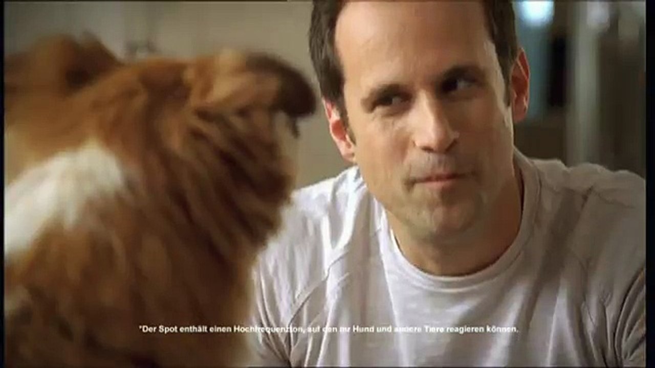 Nestlé - nourriture pour chiens Beneful, "Spot avec des sons perceptibles par les chiens" - octobre 2011 - "Soundspot"