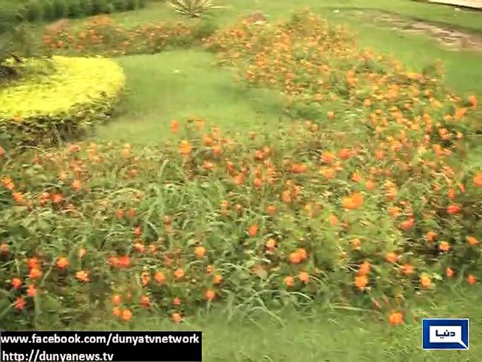MET Dept forecasts rain in various cities