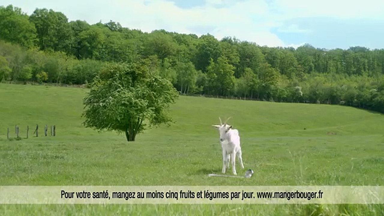 Petit Billy (Triballat) - fromage de chèvre frais, "La louche" - juin 2013