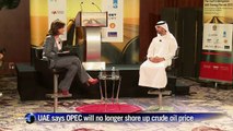 UAE says OPEC will no longer shore up oil price