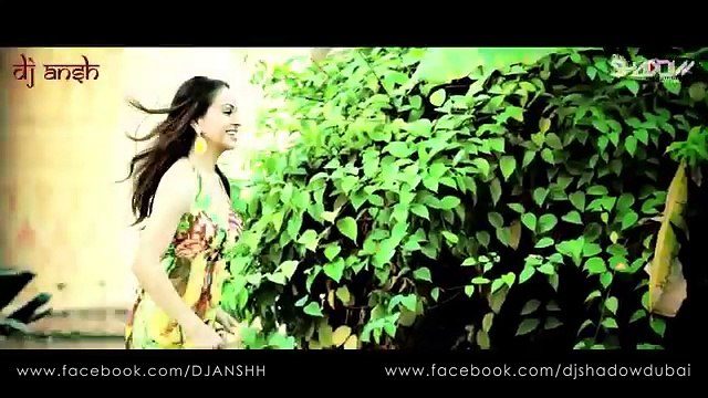 DJ Shadow Dubai & DJ Ansh Doha - Valentine Mashup 2014