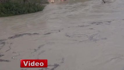 Ev ve Seralar Sular Altında Kaldı