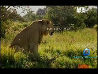 Mad Mike And Mark 13th January 2015 Video Watch Online pt2