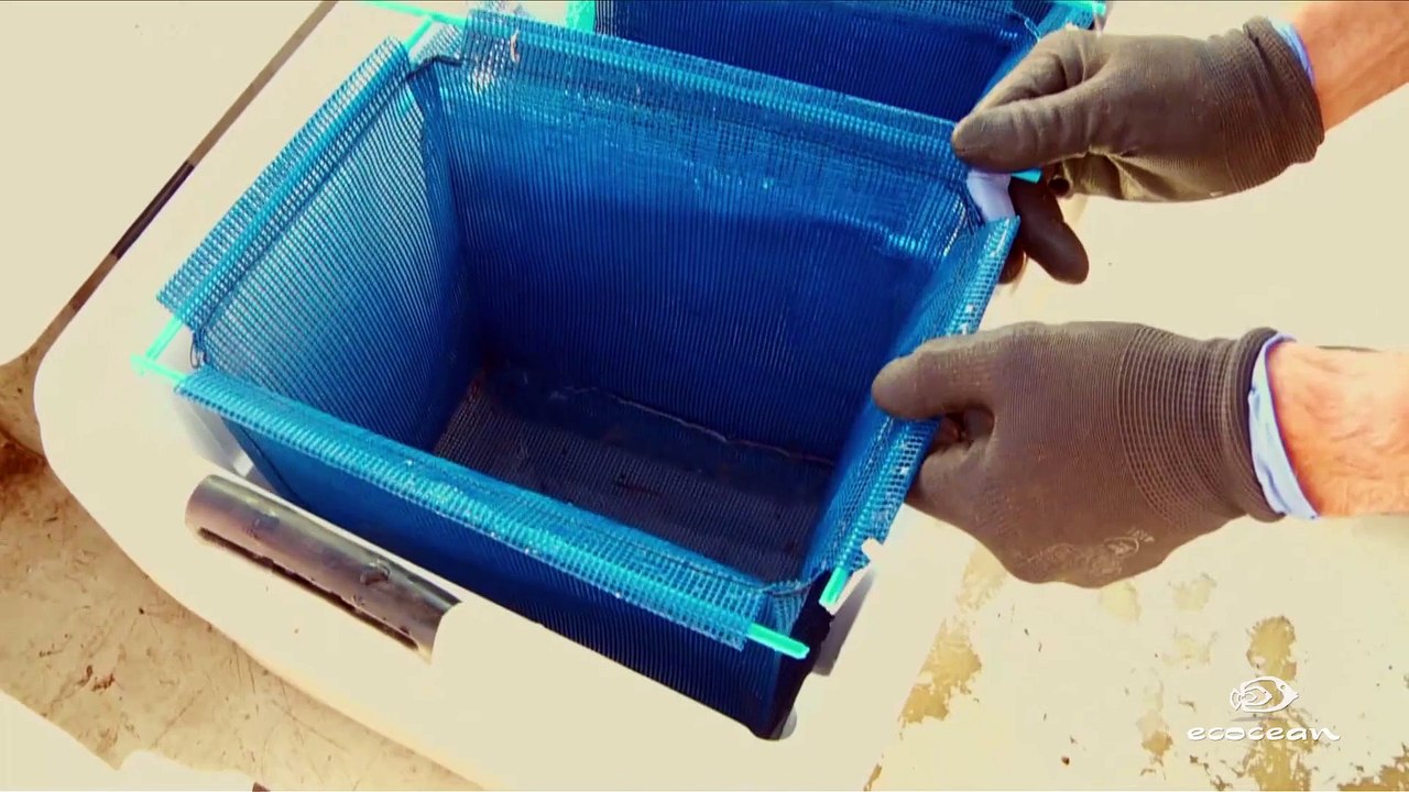 Ecocean's solutions in the Port of Marseille - Biohut & BioRestore