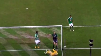 Zlatan Ibrahimovic Goal ~ St Etienne 0 - 1 Paris SG 13.01.2015