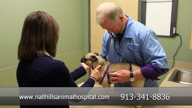 Welcome to Nall Hills Animal Hospital