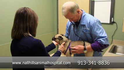 Welcome to Nall Hills Animal Hospital