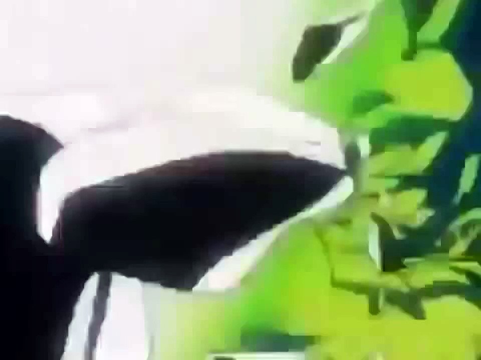 테크노바카라추천♤㎥У∼У㎥♤ＷＤＣＴ７７．ＣＯＭ♤㎥У∼У㎥♤테크노바카라추천