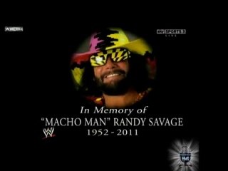 HWR MachoMan Randy Savage WWEHOF2015 Tribute