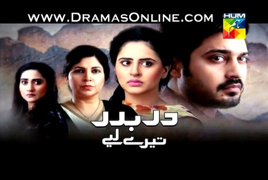 Darbadar Tere Liye Promo Episode 13 on Hum Tv 13th January 2015