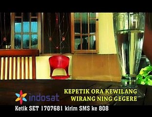 ORA KEWILANG lysna zaeni @ lagu tarling JANGKAR PRODUCTION