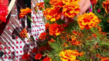 Zama De Meene Lewaniya - Aliya 2015 Song - Pashto New Songs 2015