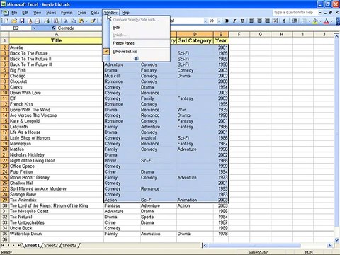Ms Excel 2003 Training- More Screen Option (Part 51)