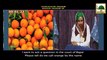 Madani Muzakray Ki Madani Mehak 116 - Sangtaray (Orange) Kay Fawaid - Maulana Ilyas Qadri