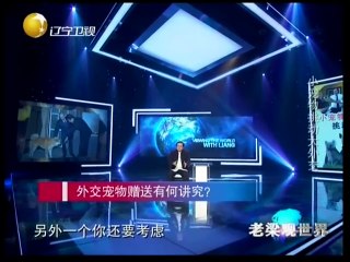 20150112 老梁观世界  小宠物挑动大外交 小狗考拉齐卖萌