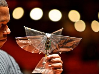 Drone by The Electric Trunk