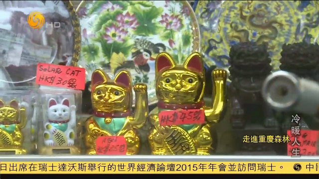 20150113 冷暖人生 走进重庆森林