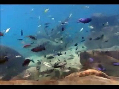 zaboor 84 - Psalm 84 - Khudawanda Tu Lashkranda Khudah Hai