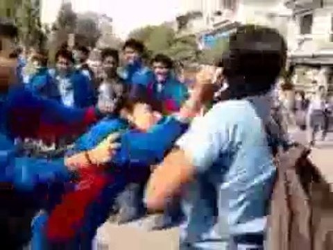 School Girls Cat Fighting