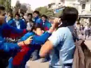 School Girls Cat Fighting